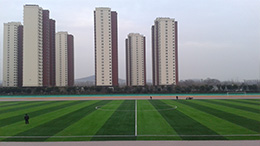 山東案例